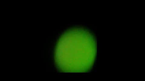 Nando online show from October 2025 02:02:01 PM