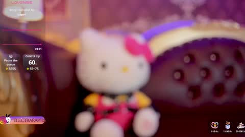 Snapshot of electraraptiss chatting on December 2024 10:48:01 PM - online show from December 2024 10:48:01 PM