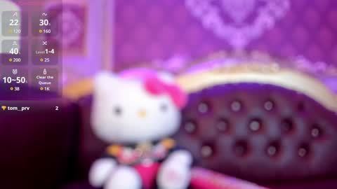 Snapshot of electraraptiss chatting on January 2025 10:51:01 PM - online show from January 2025 10:51:01 PM