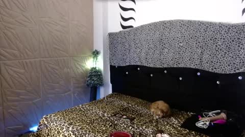 Snapshot of elektra_petite chatting on December 2024 04:16:02 AM ELEKTRA hii my birthday is tomorrow but I will celebrate it on Sunday Ill wait for you online show from December 2024 04:16:02 AM
