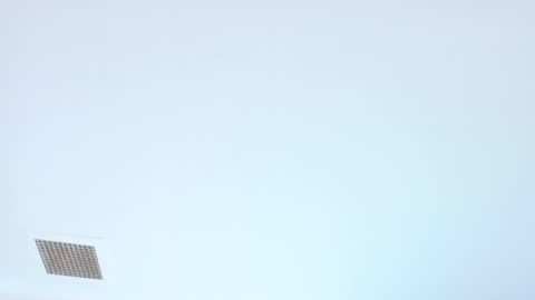 Snapshot of elektradoll1 chatting on June 2026 12:44:02 PM elektradoll1 online show from June 2026 12:44:02 PM