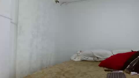 elektra online show from September 2025 04:24:01 AM