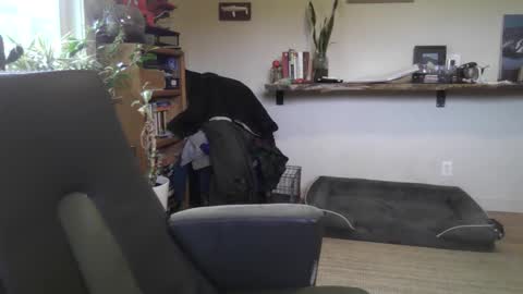 fox online show from February 2026 07:01:01 PM