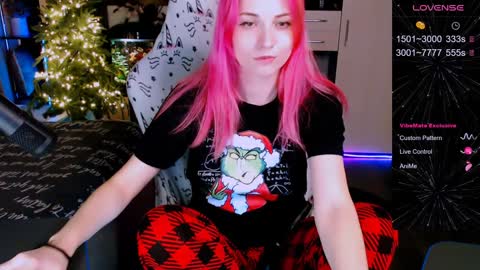 Snapshot of elfos_dream chatting on December 2024 03:49:01 AM Mary online show from December 2024 03:49:01 AM