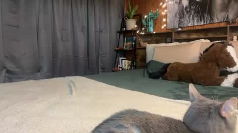 Ella online show from July 2026 03:03:02 PM