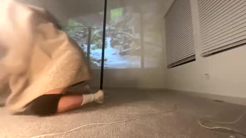 ella_ella_ella_ay online show from January 2026 11:26:01 AM