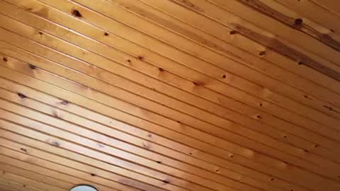 ellalowe online show from March 2026 02:53:01 PM