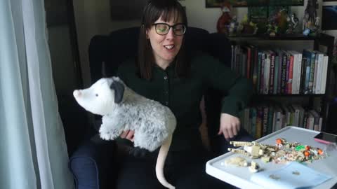 Snapshot of ellynaomi chatting on January 2025 04:38:01 PM Elly Naomi online show from January 2025 04:38:01 PM