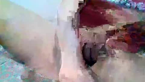 elmario24 online show from December 2025 06:29:02 AM