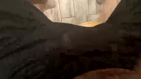 El Parador online show from December 2024 07:58:02 AM