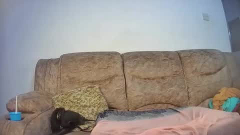 elsie02 online show from November 2025 06:56:02 PM