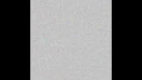 Ely online show from January 2025 11:22:02 AM