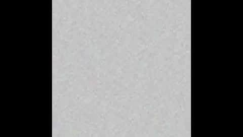 Ely online show from February 2025 11:31:01 AM