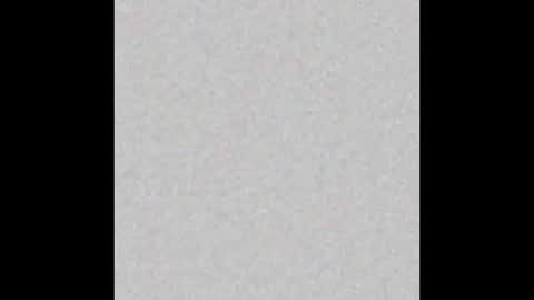 Ely online show from February 2025 11:22:02 AM