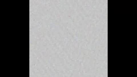 Ely online show from February 2025 11:20:01 AM