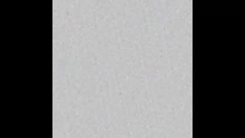 Ely online show from March 2025 11:33:01 AM