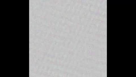 Ely online show from March 2025 11:27:01 AM