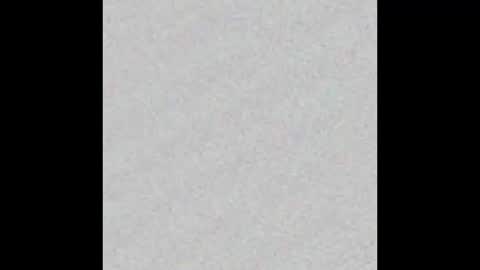 Ely online show from September 2025 11:54:01 AM