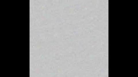 Ely online show from September 2025 11:58:01 AM