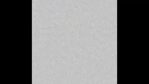 Ely online show from October 2025 12:25:01 PM