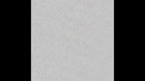 Ely online show from October 2025 11:22:01 AM