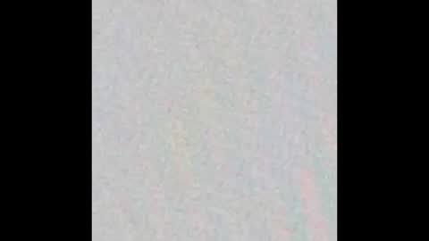 Ely online show from October 2025 11:29:01 AM