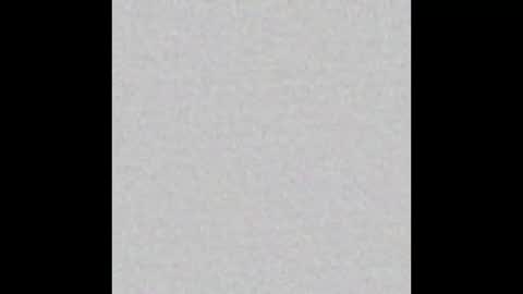 Ely online show from November 2025 12:50:02 PM