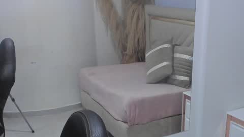 Snapshot of emelie_ch_ chatting on December 2024 06:47:01 AM Emily  online show from December 2024 06:47:01 AM