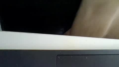 Snapshot of emilmirror chatting on February 2025 10:37:02 AM emilmirror online show from February 2025 10:37:02 AM
