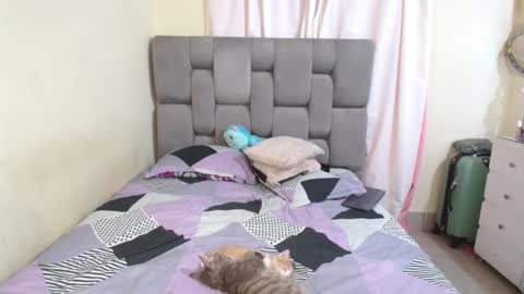 emily online show from February 2025 02:34:01 AM