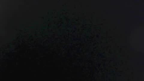 EMI online show from November 2025 11:11:02 AM