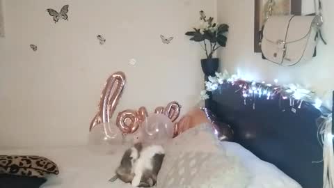 Valentina independent model online show from November 2025 02:33:02 AM