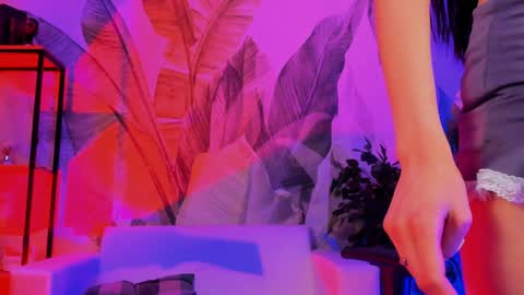 Emily online show from January 2025 12:16:02 PM