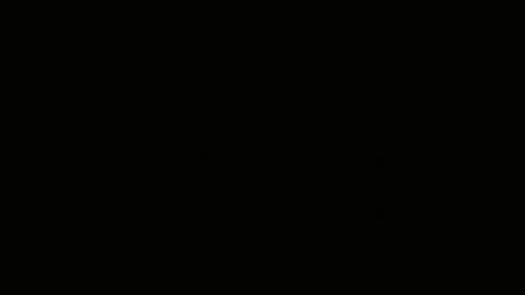 Emilly Willis online show from January 2025 06:17:01 AM