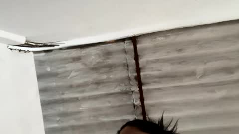 whises lits        online show from December 2024 09:45:01 PM