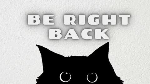   online show from February 2026 11:31:01 AM