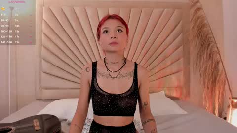           online show from November 2025 12:16:02 PM