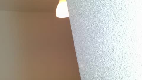 emmie online show from January 2025 08:25:01 AM