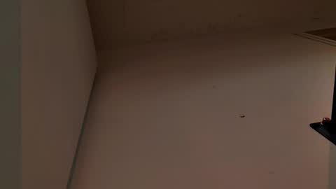 enzo_steel online show from November 2025 07:37:01 PM