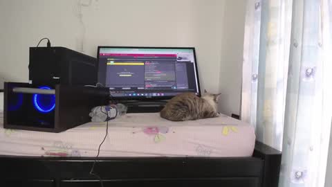 Eolicasextwo online show from January 2025 09:42:02 PM