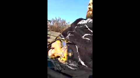 erikmulleraligator55 online show from March 2026 02:46:02 PM