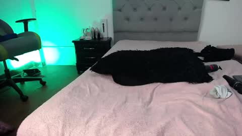 Snapshot of esmeraldaa_sc chatting on November 2025 06:03:01 AM Perla online show from November 2025 06:03:01 AM