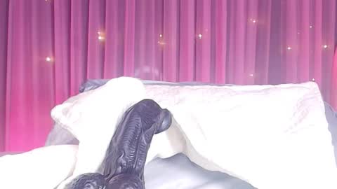 Snapshot of estrella_hanks_ chatting on February 2026 11:52:01 AM Estrella online show from February 2026 11:52:01 AM