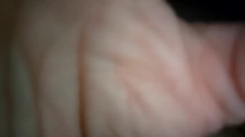 Snapshot of ethereumumm chatting on November 2025 11:31:01 AM ethereumumm online show from November 2025 11:31:01 AM