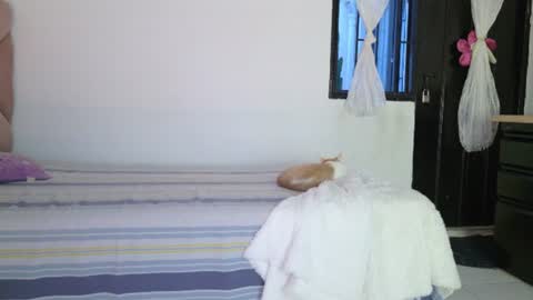 Snapshot of eva_sin18 chatting on June 2026 11:25:01 PM Eva Sin online show from June 2026 11:25:01 PM