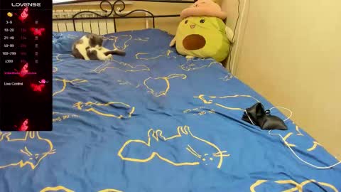 Eva online show from November 2025 10:28:01 AM