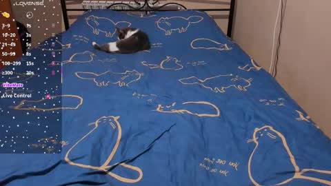 Eva online show from February 2026 02:09:02 PM