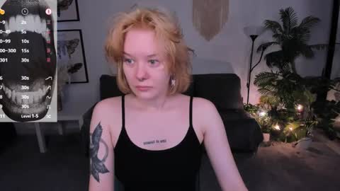      online show from April 2026 06:02:01 AM