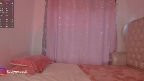 Snapshot of evelyn_evelyn chatting on December 2024 04:46:02 PM evelyn evelyn online show from December 2024 04:46:02 PM