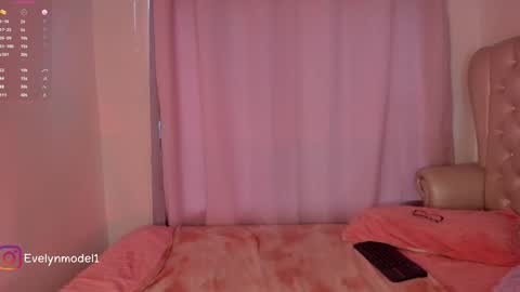 Snapshot of evelyn_evelyn chatting on February 2025 03:52:01 PM evelyn evelyn online show from February 2025 03:52:01 PM